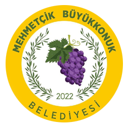mehmetcik