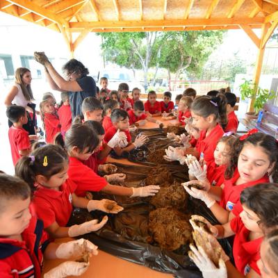 Cittaslow Sunday’de Çocuklarla Doğa İçin Tohum Topları